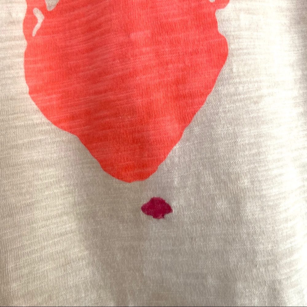 J. Crew Neon Zebra Graphic Print Lightweight Tee - Picture 3 of 10